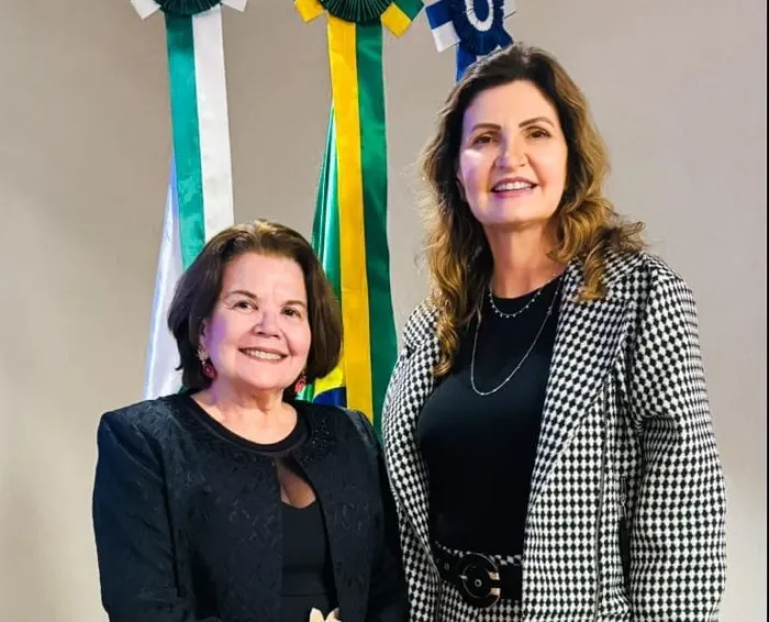Presidente da Jucepi participa de reunião da Câmara Brasileira das Mulheres Empreendedoras do Comércio em Brasília