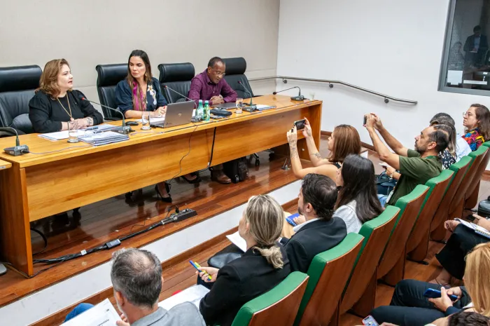 Foto: Rinaldo Morelli/ Agência CLDF