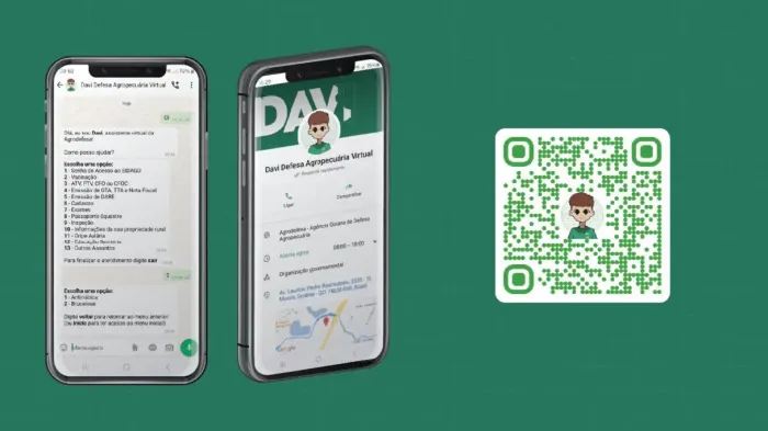 Para utilizar o chatbot Davi da Agrodefesa, basta salvar o número de telefone (62) 98164-1188 nos contatos do telefone e iniciar uma conversa pelo Whatsapp (Imagem: Agrodefesa)