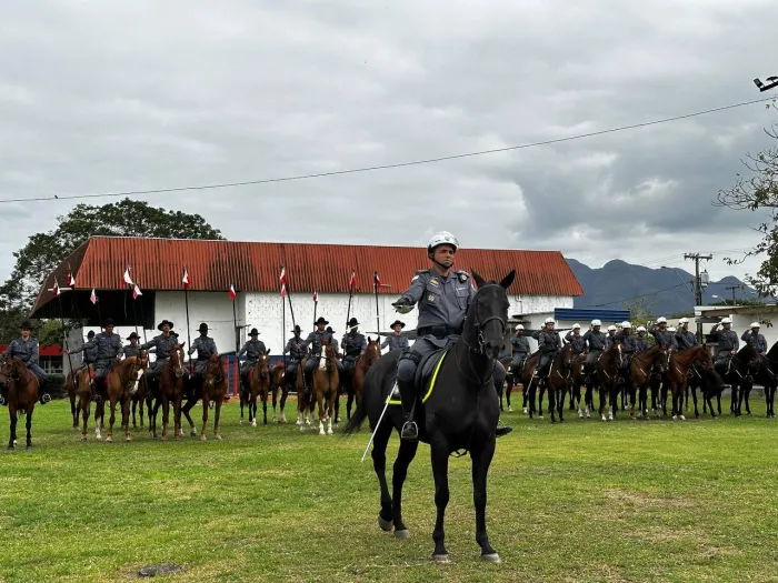 Polícia Militar realiza solenidade em homenagem ao Dia da Equoterapia