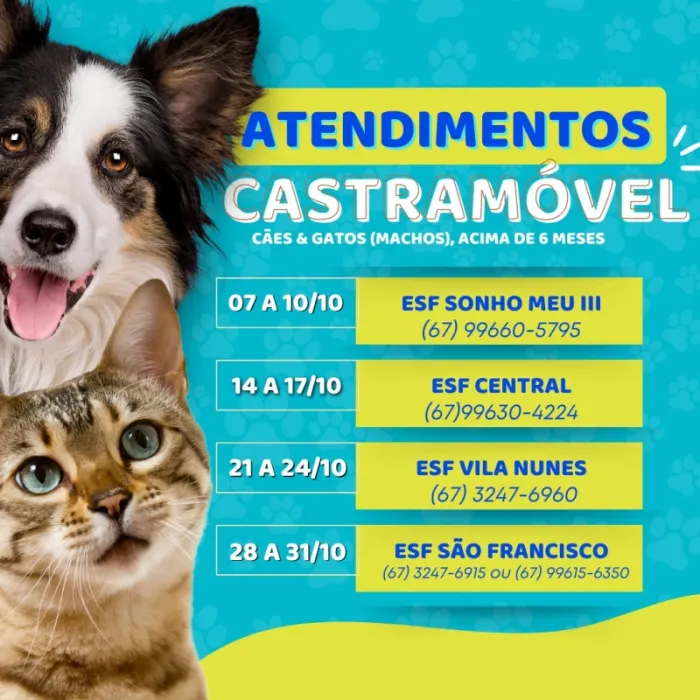 Escala de atendimentos do Castramóvel referente ao mês de outubro em Costa...