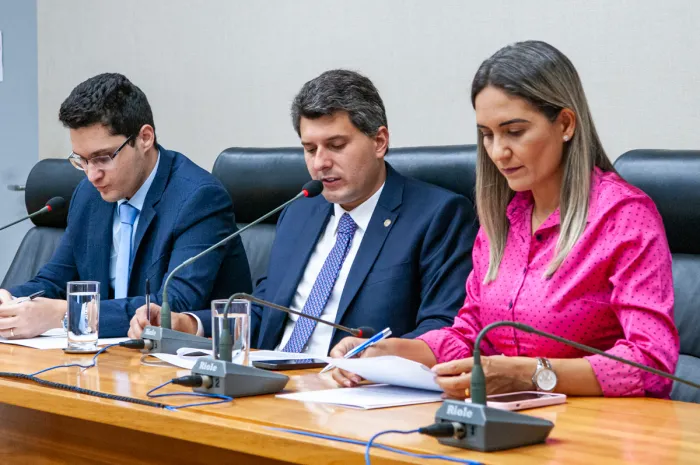 Saúde, inclusão e meio ambiente: veja o que CEOF aprovou nesta terça (08)