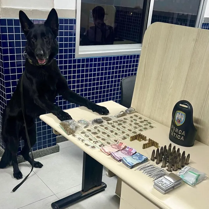 Força Tática do 4º Batalhão apreende drogas e munições em Vila Velha
