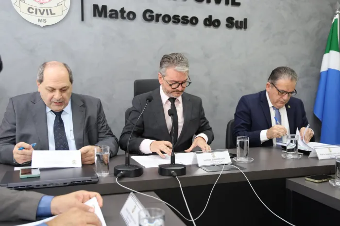 Foto: Reprodução/Polícia Civil - MS
