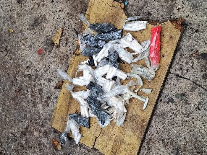 Cotama apreende entorpecentes e detém duas pessoas em manguezal de Vitória