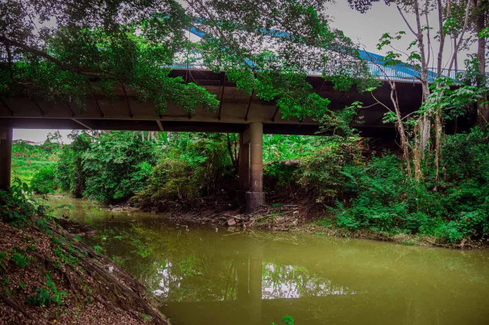 Governo do Acre e instituições parceiras iniciam limpeza do Igarapé São Francisco