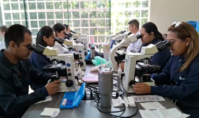 Vigilância laboratorial: FVS-RCP treina profissionais de serviços de saúde do Amazonas para diagnóstico de malária