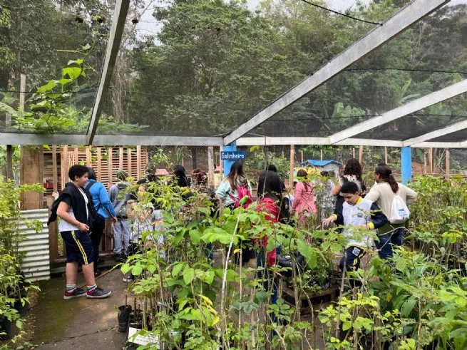 Alunos da Educação Inclusiva participam de experiências com a natureza no Viveiro Municipal
