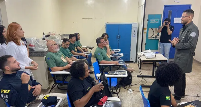 Meio Ambiente: Servidores da Semma participam de curso de identificação de madeira