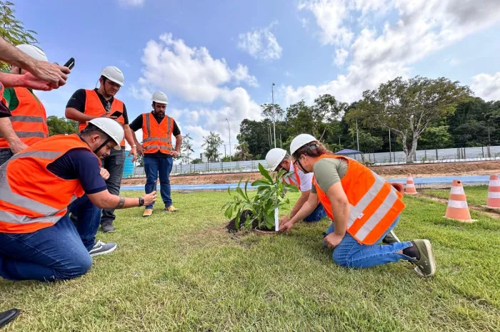 Crédito: Vinícius Leal (Ascom/Ideflor-Bio)