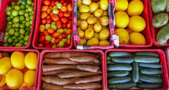 Dia Mundial da Alimentação: Governo entregou mais de 1,7 mil toneladas para 120 mil famílias em vulnerabilidade