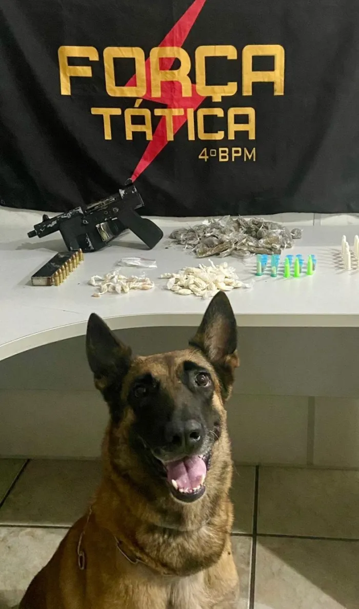 Foto: Reprodução/Polícia Militar - ES