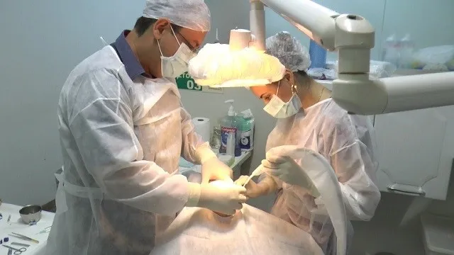 Crédito:Asscom Água Boa - 