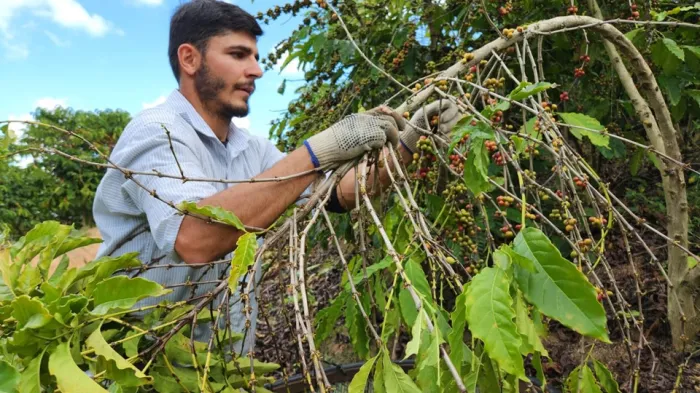 Governo do Estado publica novo decreto para fomento a negócios de impacto socioambiental