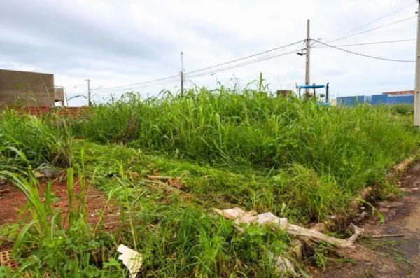 Foto: Reprodução/Prefeitura de Sorriso - MT