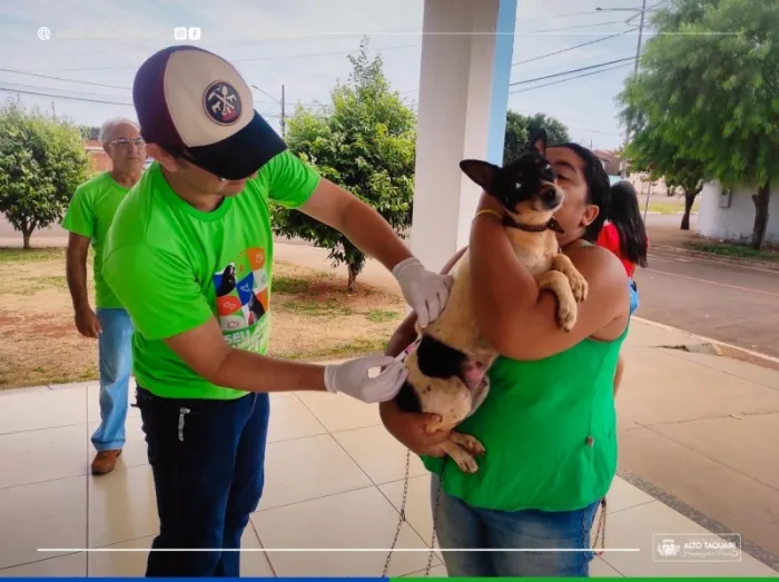 Crédito:Divulgação - 