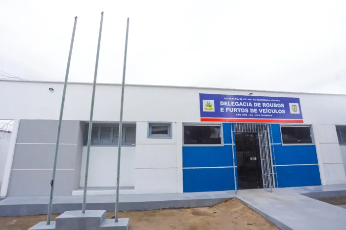 - Delegacia de Roubos e Furtos de Veículos (Foto: Divulgação)