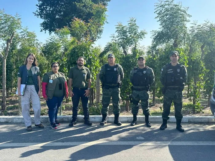 Iema e Polícia Militar Ambiental realizam operação contra cativeiro irregular de fauna silvestre no norte do Estado