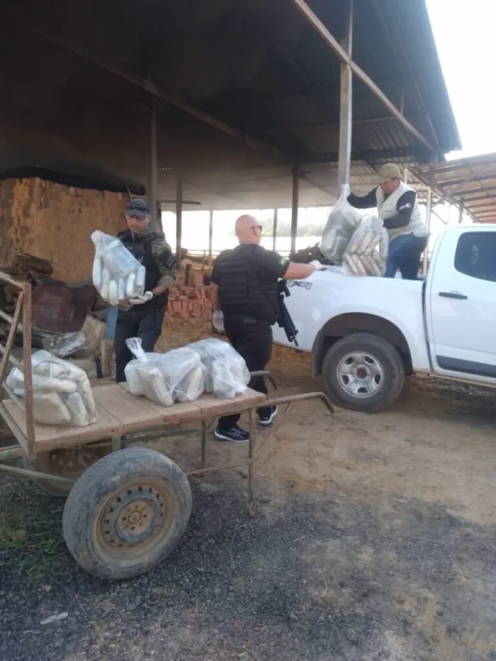 Operação Caurés: Polícia Civil incinera aproximadamente 200 Quilos de Drogas em Barcelos 