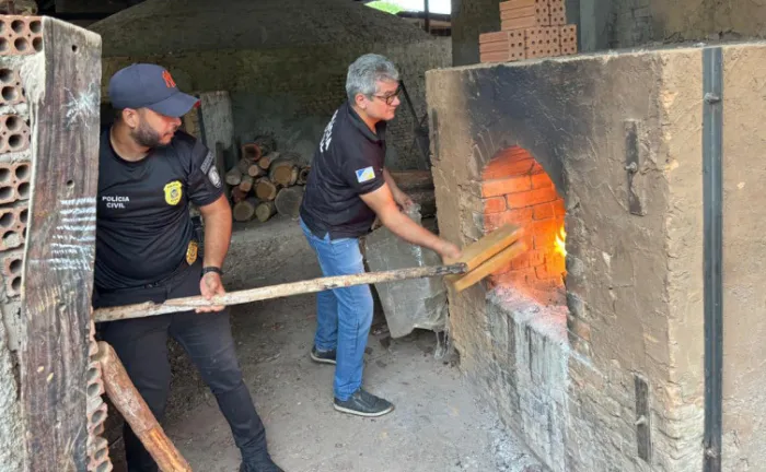 Polícia Civil incinera cerca de 400 kg de maconha e gera prejuízo de R$ 1 milhão ao crime organizado