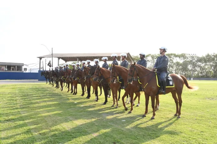 Foto: Reprodução/Polícia Militar - ES