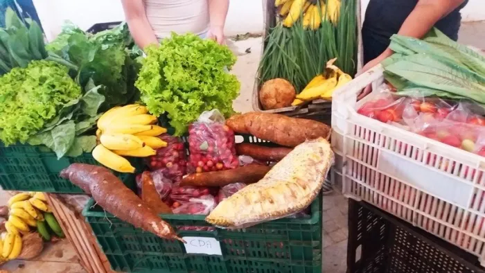 Setades lança edital da IV Mostra de Experiências em Segurança Alimentar Nutricional