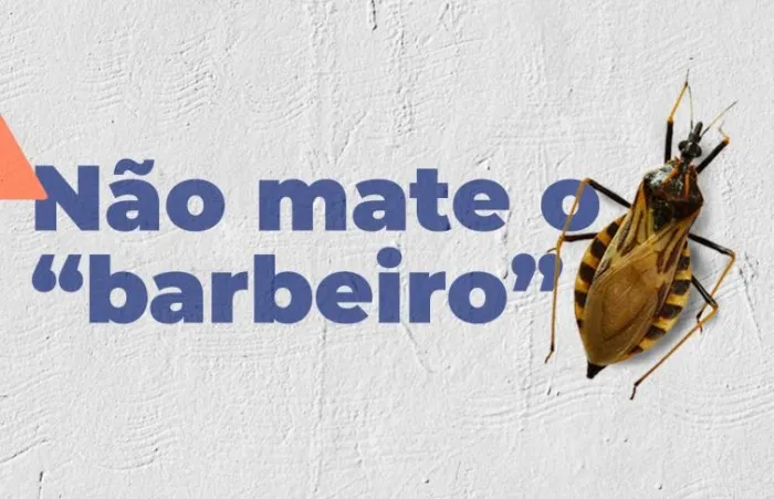 Crédito:Divulgação - 