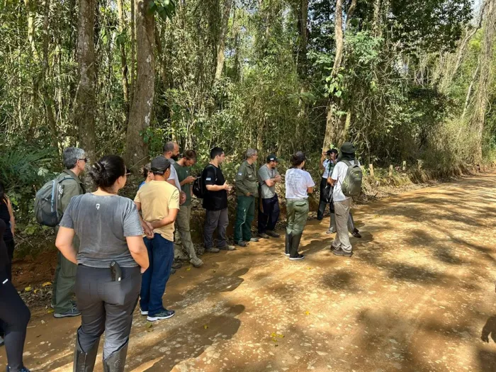 Capacitação em coleta de sementes no Parque Mata das Flores mobiliza comunidade para recuperação ambiental