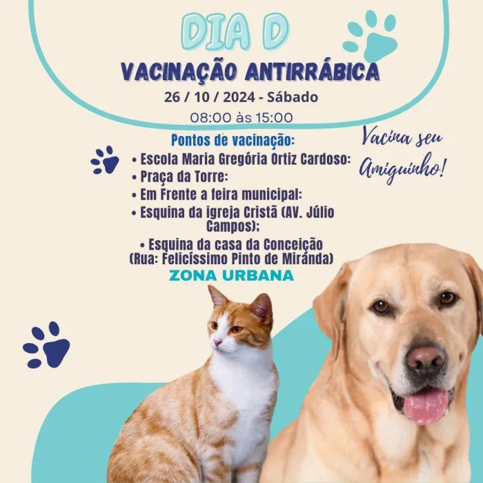 Crédito:Divulgação - 