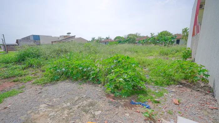 (Foto: Ascom Prefeitura/Arquivo)