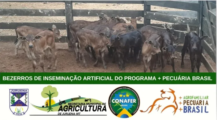 Crédito:Divulgação - 