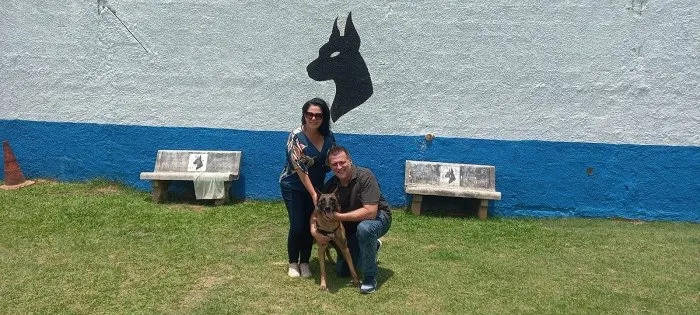 Cão com excelentes resultados em detecção de drogas e armas ganha novo lar