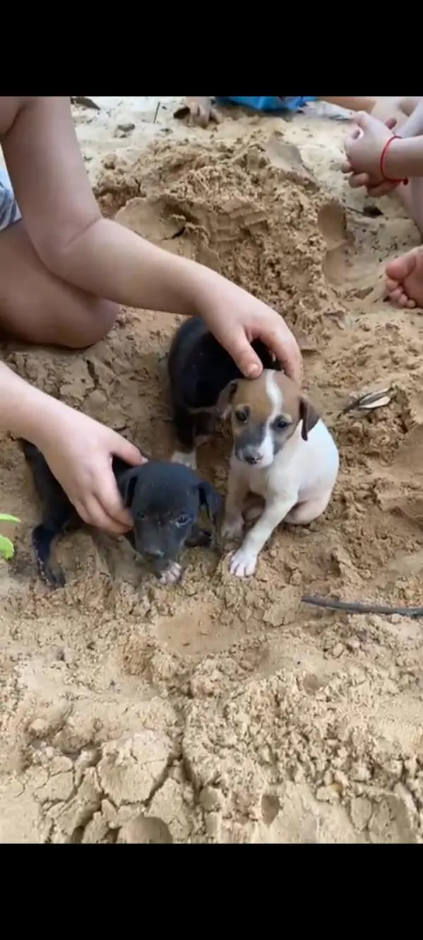 Foto: Reprodução/Prefeitura de Sorriso - MT
