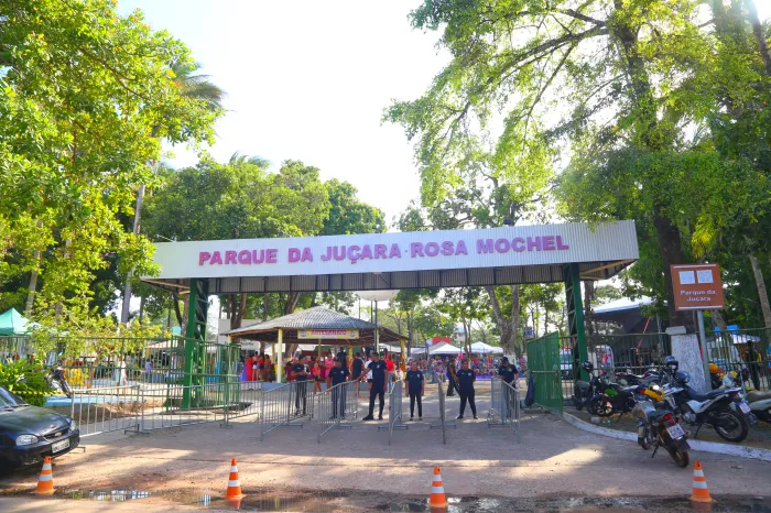 - Festa da Juçara chega à sua 55ª edição, fortalecendo a cadeia produtiva (Foto: Handson Chagas)