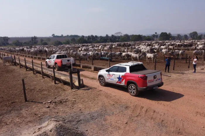 Crédito: Ascom Adepará