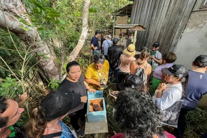 Crédito: Divulgação