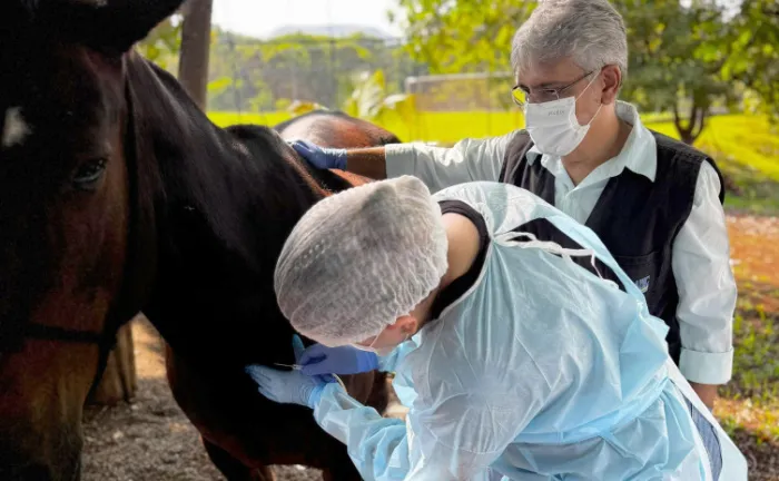 Adapec colabora com Lacen para garantir meios de cultura para testes de meningite e coqueluche 
