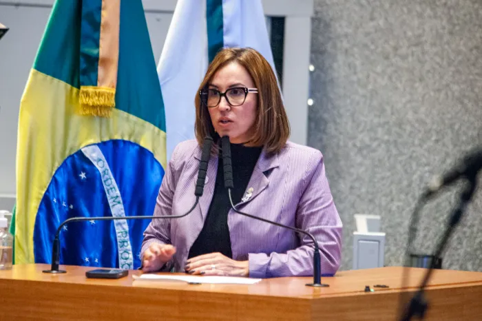 Foto: Vinicius Vicente/ Agência CLDF