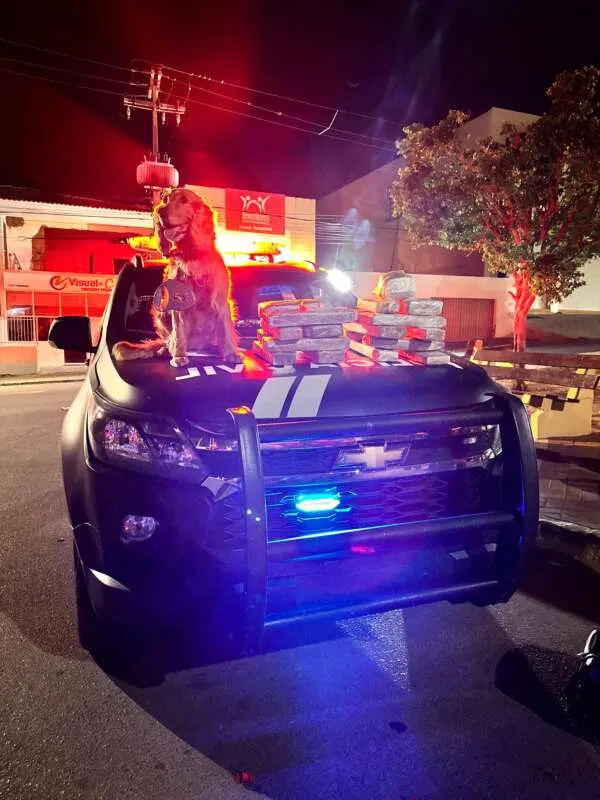 Polícia Civil apreende cerca de 20 kg de skank e captura suspeito por tráfico de drogas em Pernambuco