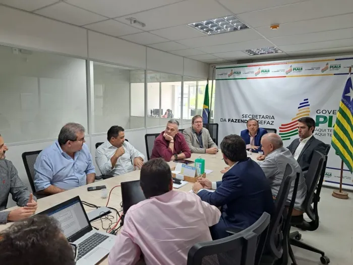 Conselho de Desenvolvimento Industrial aprova instalação de cinco empresas com investimentos de R$ 739,4 milhões no Piauí