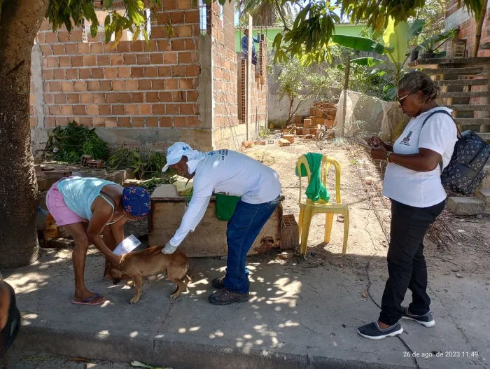 Dia D de vacinação antirrábica animal acontece na sede do município neste sábado (3)