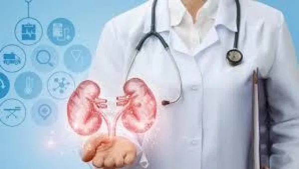 Vereador solicita contratação de médico urologista para plantão na UPA de Sorriso