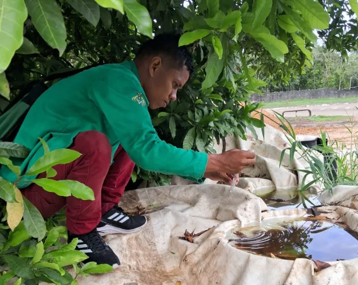 Saúde divulga informe epidemiológico de arboviroses no Amazonas