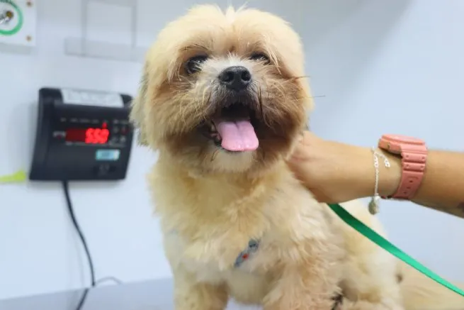 Foto: Reprodução/Prefeitura de São Sebastião - SP