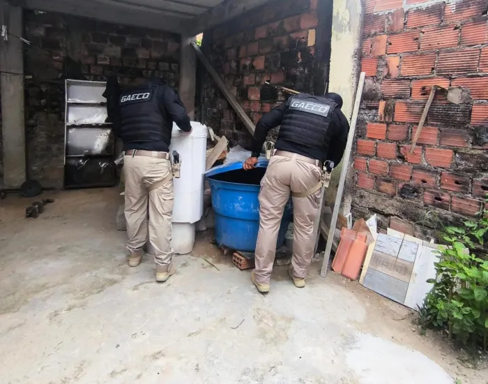 Operação Lobo Mau: dois homens foram presos na Bahia por envolvimento em rede criminosa de abuso sexual infantil