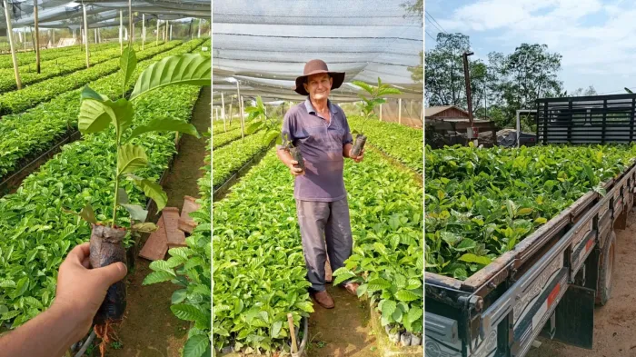 Crédito:Divulgação - 