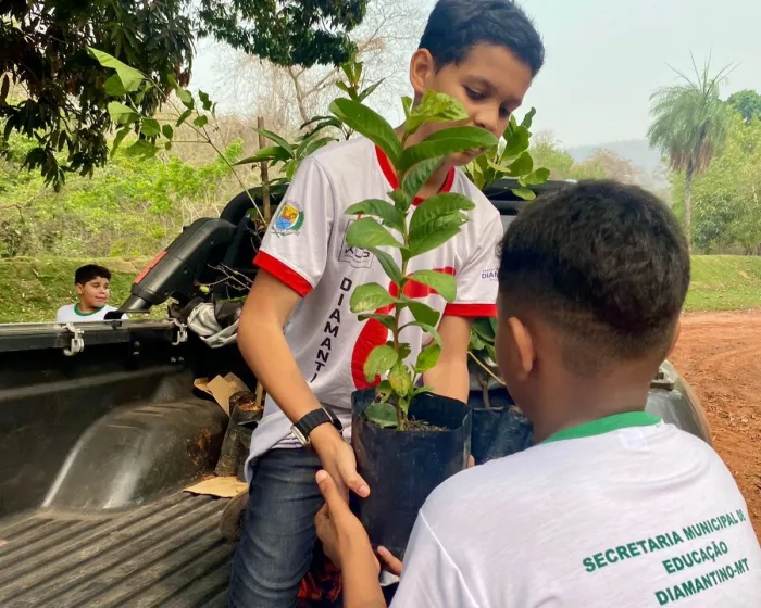 Crédito:Divulgação - 