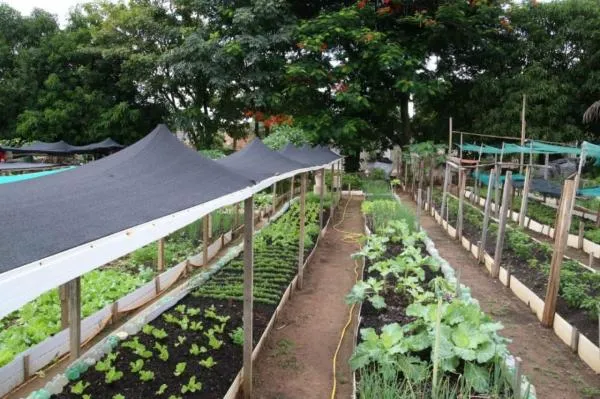 Foto: Reprodução/Câmara de Sorriso - MT