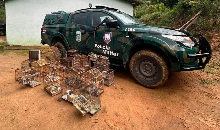 Iema e Polícia Ambiental agem em conjunto em operação de apreensão de aves silvestres em Castelo