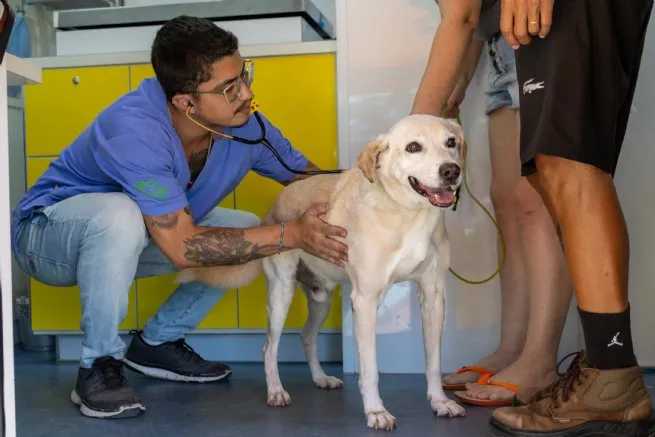 SESAU realiza ações do PATA Móvel na Costa Norte e encerra primeira etapa de vacinação de cães